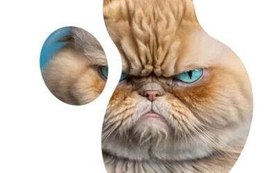 Sind Sie auch sauer?