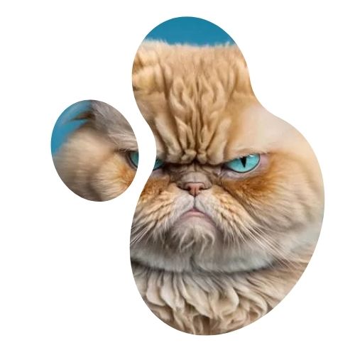 Sind Sie auch sauer?