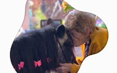 Da steht ein Pony aufm Flur